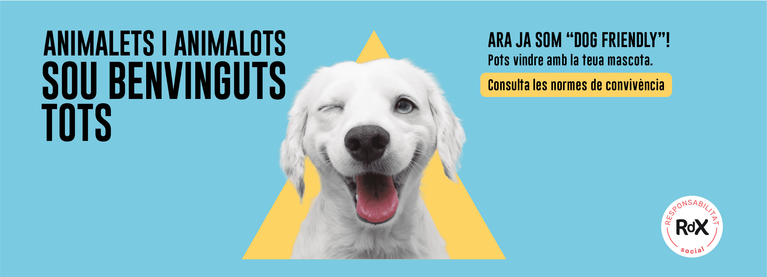 Dog Friendly – VA